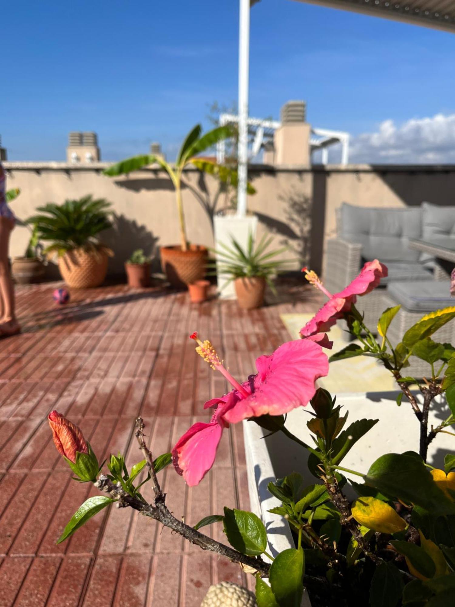 La Azotea Appartement Cambrils Buitenkant foto